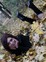 Знакомства в г. Одесса: Александра, 22 - ищет Парня