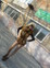 Знакомства в г. Киев: ♥_angelochec_♥, 20 - ищет Парня от 22  до 27